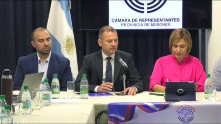 Administración Portuaria Posadas - Santa Ana proyectó un presupuesto para 2025 de $963 millones imagen-2