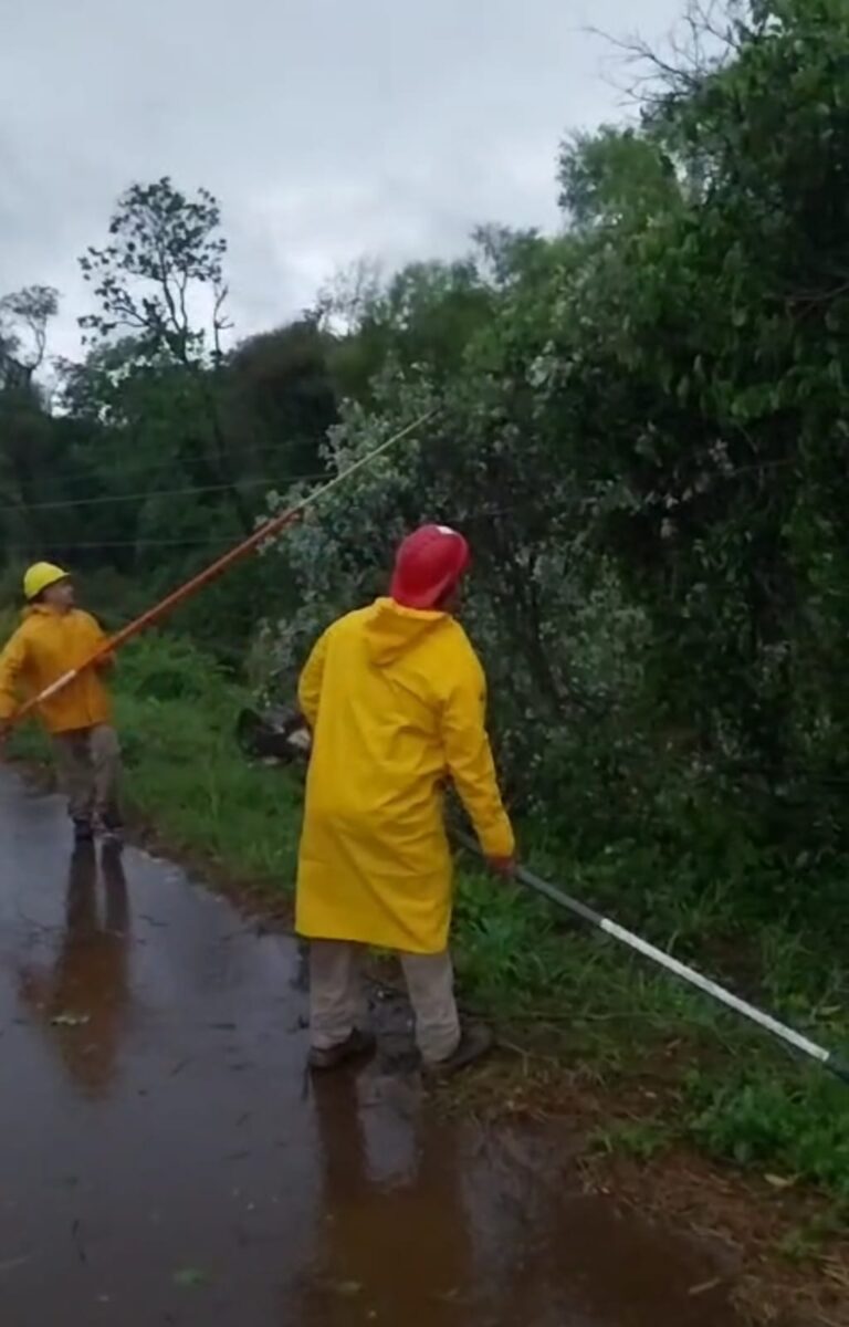 Temporal: Más de 40 frentes de trabajo dispuso Energía de Misiones para reponer el servicio eléctrico imagen-40