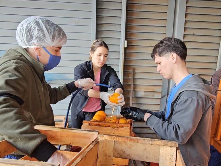 Estudiantes de Nutrición participaron del rescate de alimentos en el Mercado Central de Misiones imagen-35