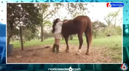 Legislatura creó por ley el Centro Provincial de Rescate y Rehabilitación de Equinos Libre Relincho imagen-2