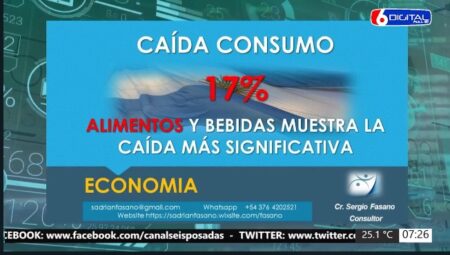 Desempleo y caída del consumo efectos de las políticas nacionales imagen-9