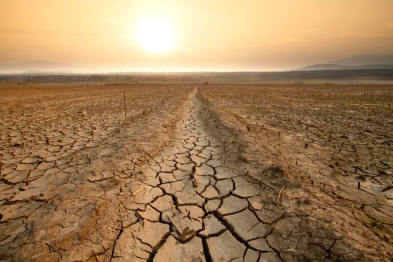 "La Niña" está por llegar a la Argentina: se esperan fuertes sequías y un clima fuera de lo normal imagen-40