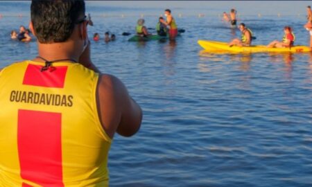 Capacitación y formación de los guardavidas, principales objetivos de la nueva ley de Seguridad Acuática imagen-2