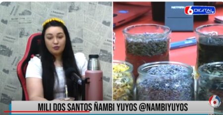 "Yuyos" aromáticos, con muchas propiedades para disfrutar en infusiones, como el mate imagen-10