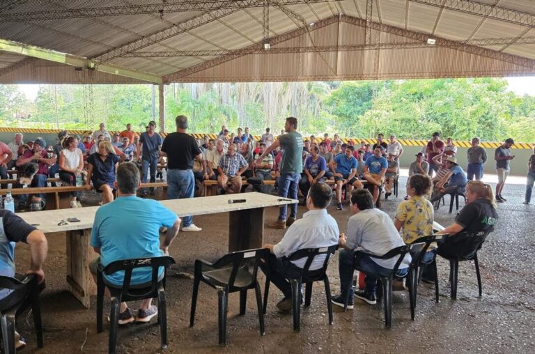 Reunión clave entre el Gobierno provincial y los productores: “Si no hay un valor mínimo, no hay precio justo para la yerba” imagen-27