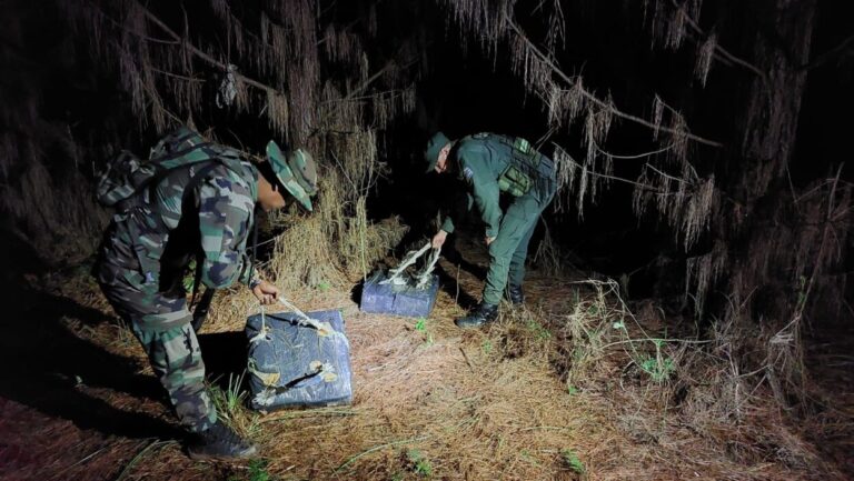 Patrulla de gendarmes descubre más de 136 kilos de marihuana entre la vegetación imagen-27