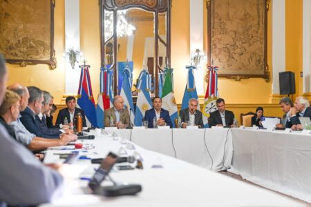 Misiones reclama por la producción yerbatera y reivindica la orgánica en el Consejo Federal Agropecuario imagen-10