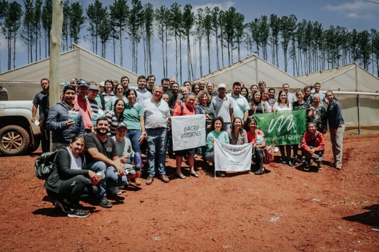 El Centro de Producción y Validación de Tecnologías Hortícolas de San Vicente, clave para herramientas innovadoras imagen-24