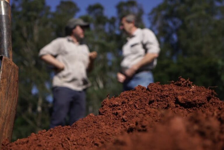 Misiones reafirma su compromiso con la conservación del suelo: La creación de una carta de suelos como pilar para una agricultura sostenible imagen-1