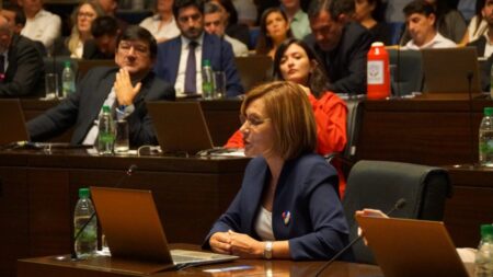 Presupuesto 2025: “Viene a reafirmar el modelo de equilibrio fiscal y coherencia del gobierno provincial", dijo Vaider imagen-5