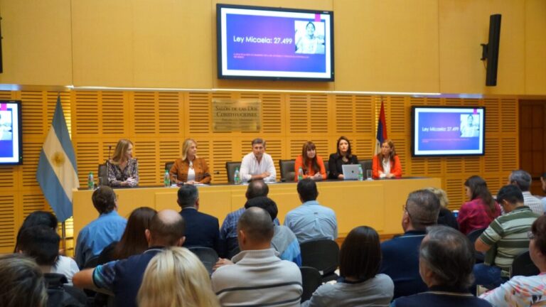 Se realizó en la Legislatura una capacitación en materia de perspectiva de género y erradicación de la violencia contra las mujeres imagen-39