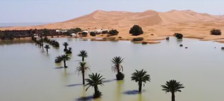 El desierto de Marruecos se inunda por primera vez en más de medio siglo El desierto de Marruecos se inunda por primera vez en más de medio siglo imagen-4
