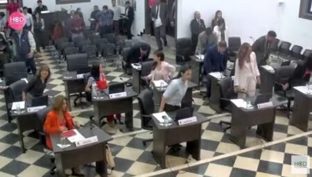 Simplificación y participación: las nuevas legislaciones del HCD posadeño imagen-4