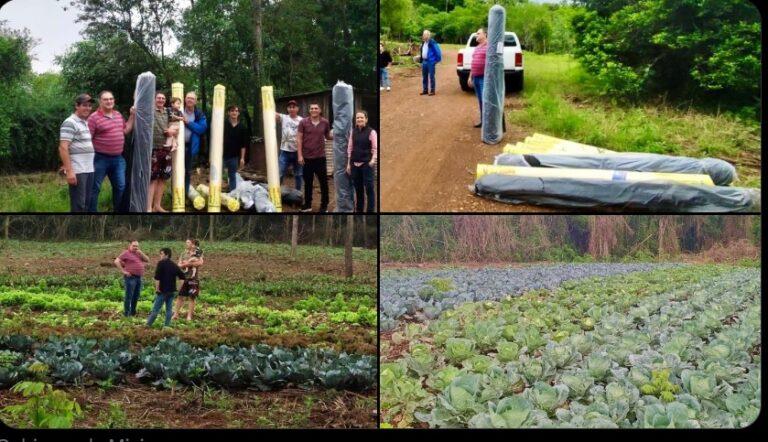 Nuevos productores se vincularán al MCZ de Posadas; destacan a la mujer rural imagen-18