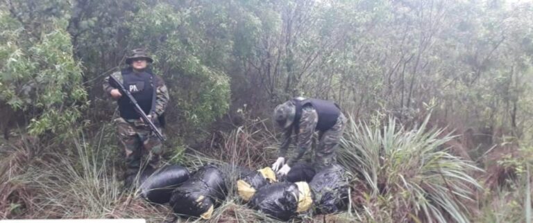 Prefectura Naval decomisó más de 80 kilos de marihuana en Santa Ana imagen-1