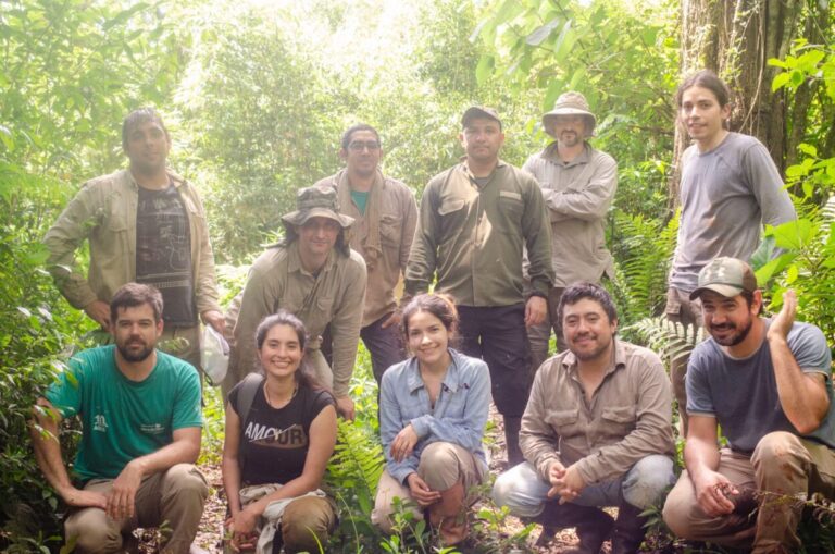 El modelo colaborativo de Hora de Obrar para reforestar la Selva Misionera imagen-22