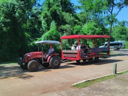 Intensifican tareas de mejoras en Conjuntos Jesuíticos y Parques Provinciales Intensifican tareas de mejoras en Conjuntos Jesuíticos y Parques Provinciales imagen-10