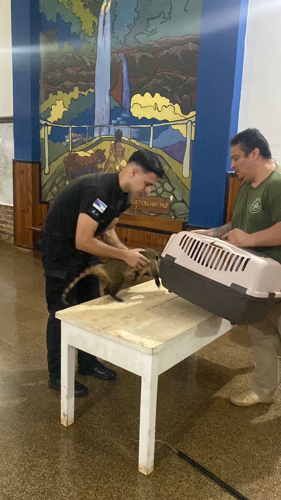 Policías resguardaron a dos animales silvestres que se hallaban fuera de su hábitat imagen-2