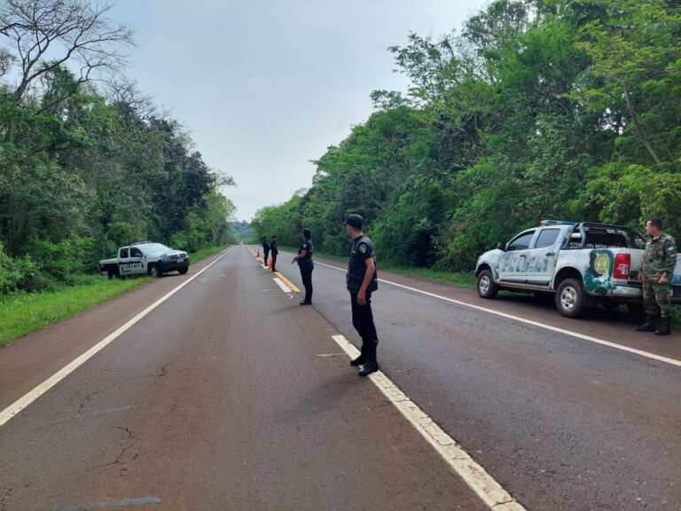 Operativo provincial para ubicar al vehículo que atropelló a un Yaguareté en Iguazú imagen-26