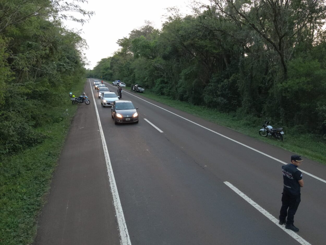 Operativo provincial para ubicar al vehículo que atropelló a un Yaguareté en Iguazú imagen-4