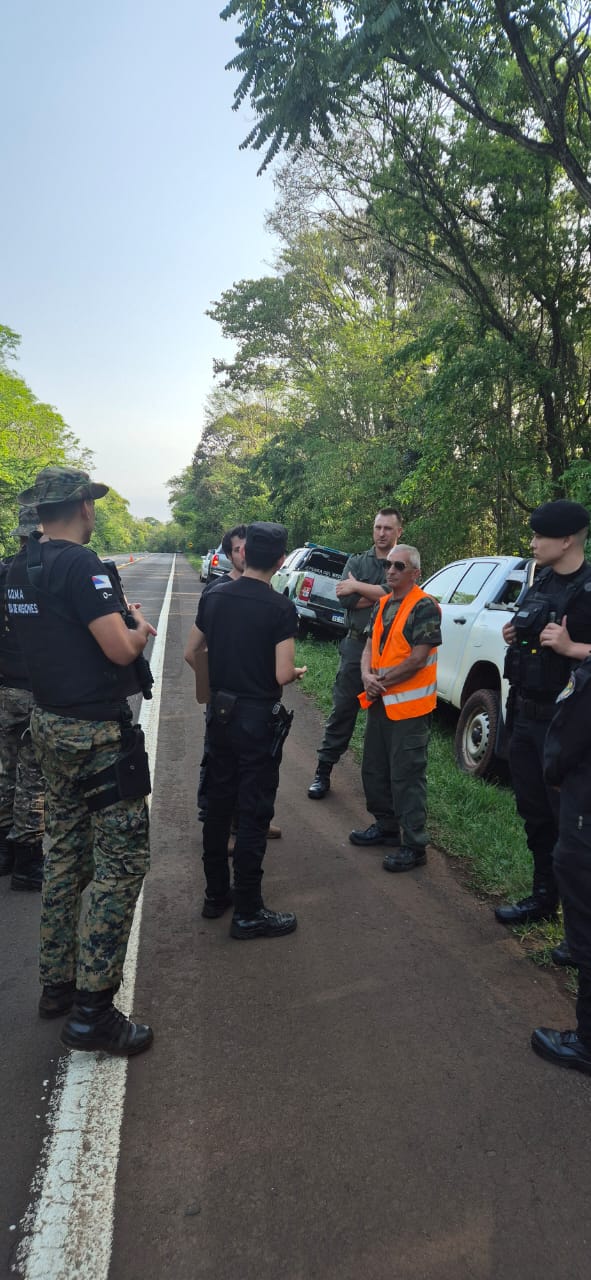 Operativo provincial para ubicar al vehículo que atropelló a un Yaguareté en Iguazú imagen-6