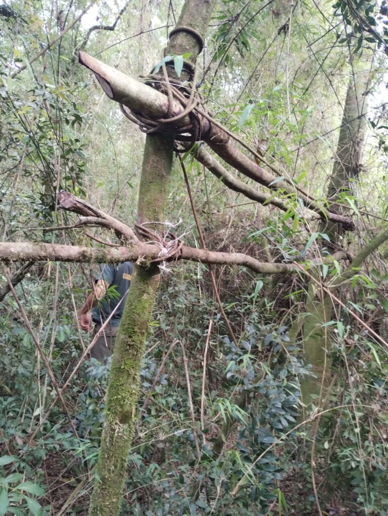 Patrullajes continuos de guardaparques en Misiones: en Biósfera Yabotí se ejecutó un operativo de tres días imagen-10