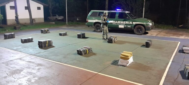 Gendarmería secuestró 284 kilos de marihuana que estaban ocultos en la selva misionera imagen-46