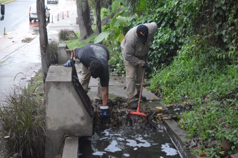 Por las lluvias, la Comuna posadeña desplegó cuadrillas en diversos puntos de la ciudad para tareas de limpieza imagen-16