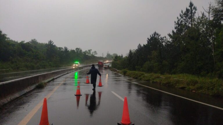 Santa Ana: despistó un camión en la ruta 12 imagen-16