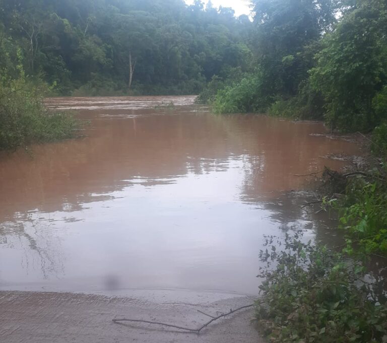 Por la crecida del Arroyo Yaboty, el Parque Moconá permanecerá cerrado imagen-18