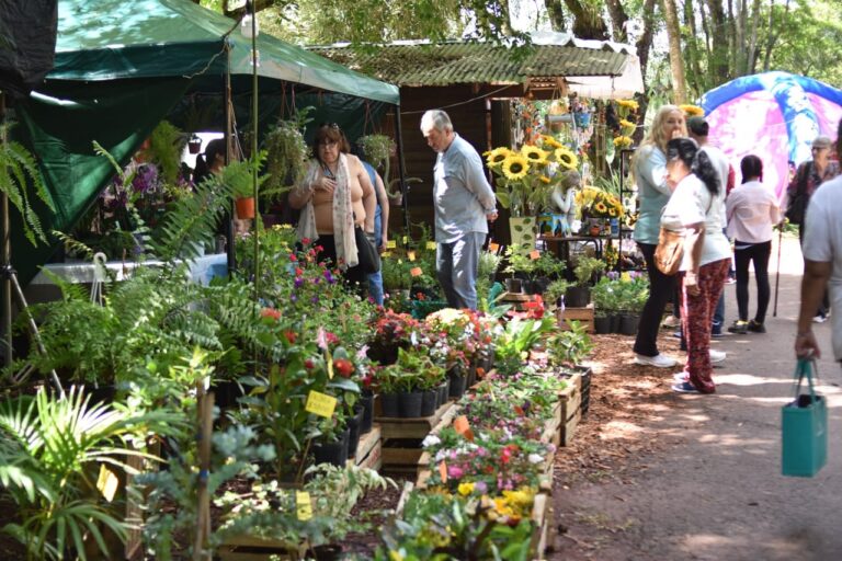 Montecarlo vivió una Fiesta Nacional de la Orquídea y Provincial de la Flor con un gran impacto histórico imagen-4