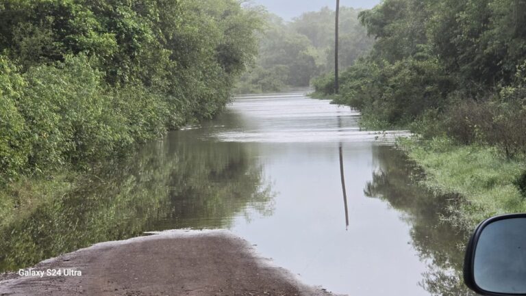 Desbordó el arroyo Garupá y afectó sectores de Profundidad imagen-16