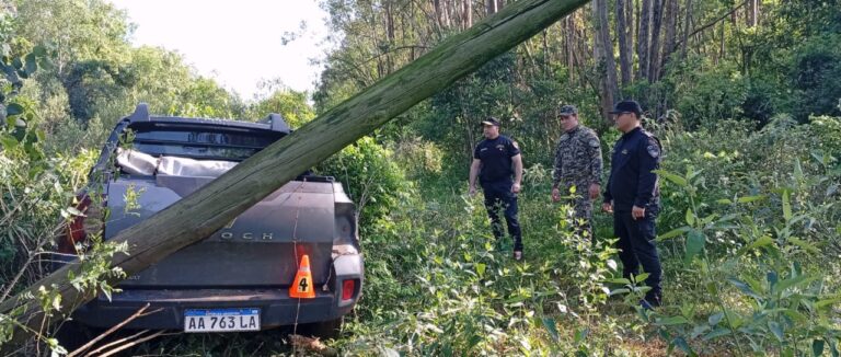 Persecución, despiste y detención en zona rural: Secuestraron un auto robado en Buenos Aires imagen-13