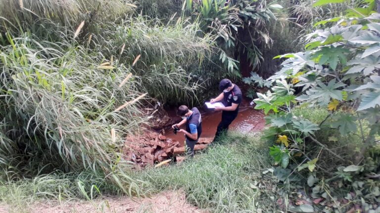 Investigan la muerte de un hombre en San Vicente: hallaron su cuerpo en estado de descomposición imagen-49