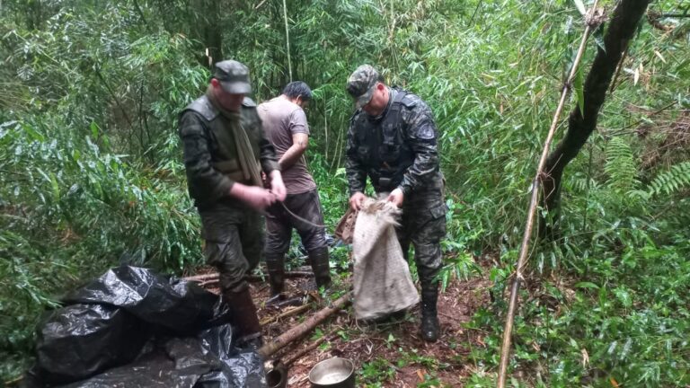 Policías destruyeron un refugio de cazadores furtivos en una reserva provincial y detuvieron a un hombre imagen-24