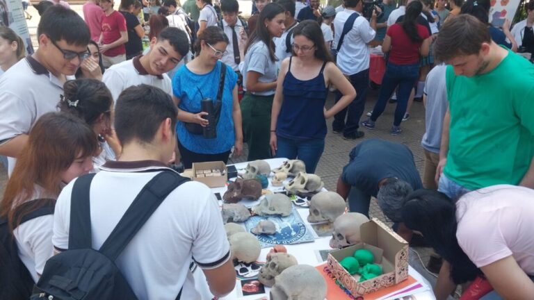 Kermés Científica: la Universidad Nacional de Misiones muestra sus proyectos en la Plaza 9 de Julio imagen-43