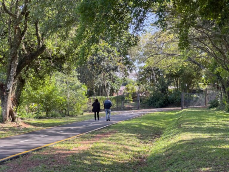 El Jardín Botánico "Alberto Roth": Un oasis de biodiversidad y educación ambiental en Posadas imagen-46