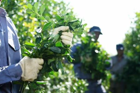 “Lamentablemente, muchos quedarán en el camino”: la dramática crisis de precios en un producto emblema para los argentinos imagen-8