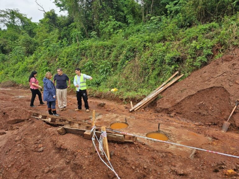 Más potencia: avanza la obra para la nueva subestación transformadora en  Esperanza imagen-34