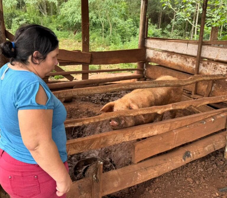 "La nobleza del pueblo campesino: el alma de nuestra tierra" imagen-29