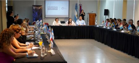 Con la lectura del informe culminó la 101° Asamblea Ordinaria del Consejo Federal de Discapacidad en Misiones imagen-2