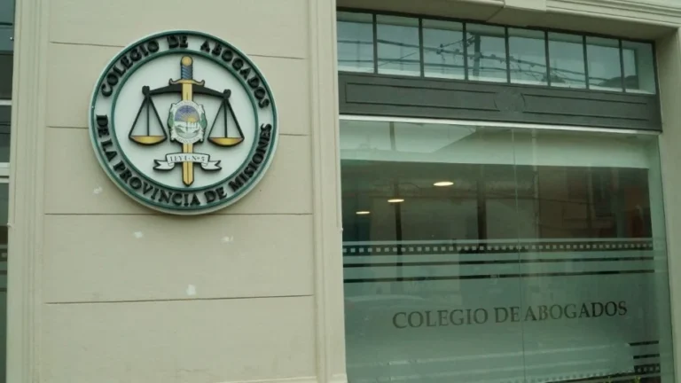 Colegio de Abogados advirtió que Jabornicky tiene la matrícula cancelada imagen-34