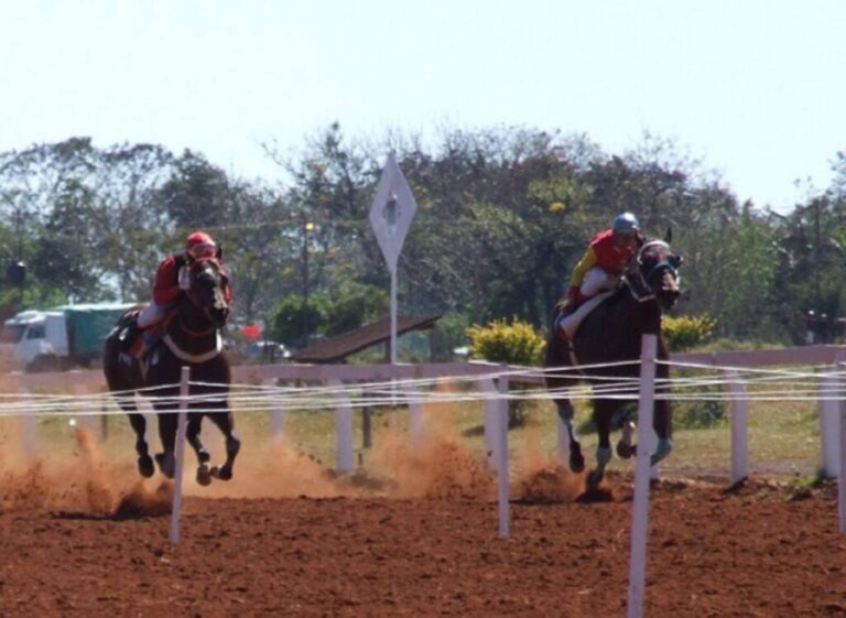 Tragedia en la Copa Challenger: Un caballo murió y su jinete sufrió conmoción cerebral imagen-21