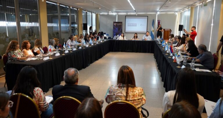 Arrancó en Misiones una nueva asamblea del Consejo Federal de Discapacidad imagen-18