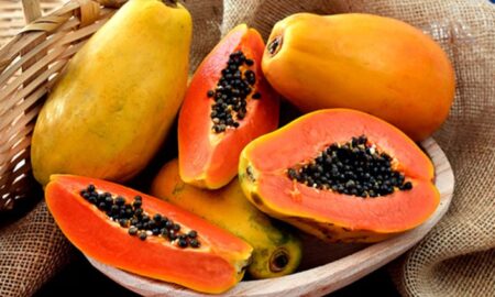 El mamón en riesgo: detectan virus que pone en alerta al sector productor del Norte argentino El mamón en riesgo: detectan virus que pone en alerta al sector productor del Norte argentino imagen-8