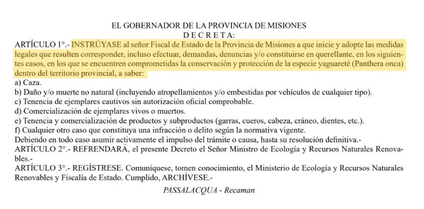 Misiones le puso abogado al Yaguareté muerto atropellado, destaca Red ecológica imagen-2