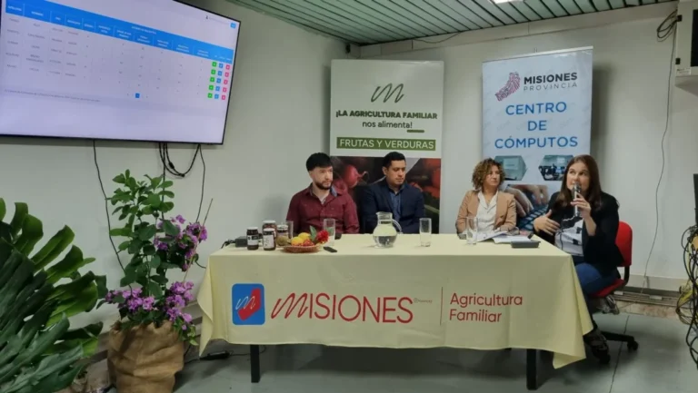 Misiones lanzó el Registro Provincial de Agricultura Familiar imagen-26