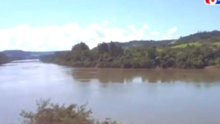 Ecología dispuso la veda total de pesca en los ríos Paraná, Iguazú y Uruguay imagen-44