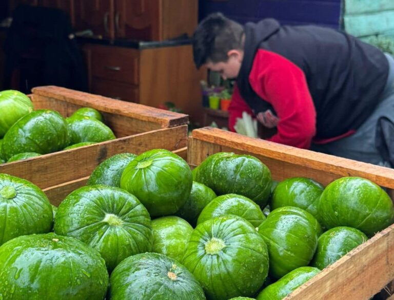 "Trabajamos cada día por una ruralidad digna" imagen-42