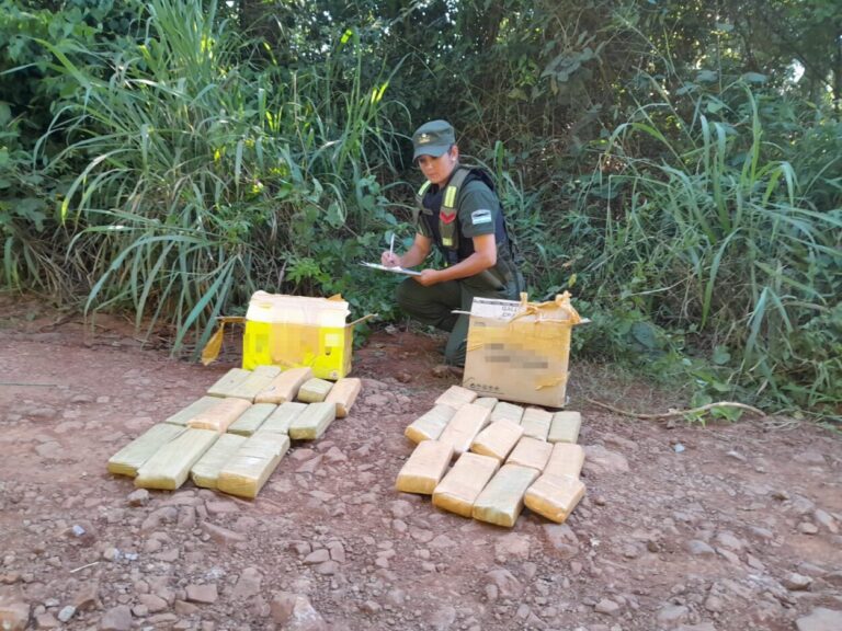 Abandonan más de 320 kilos de marihuana en el monte misionero imagen-46